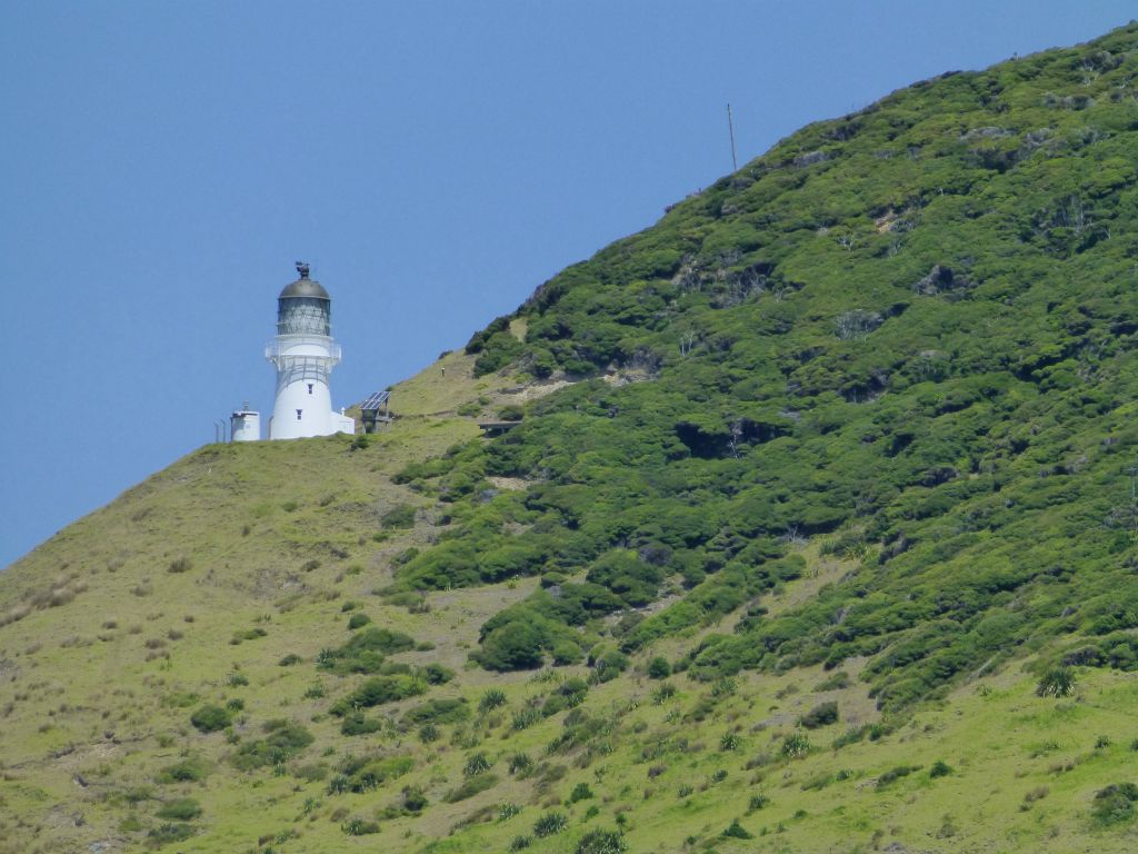 The renowned 'Hole in the Rock' cruise aboard Fullers.  Cape Brett lighthouse, Bay of Islands.
