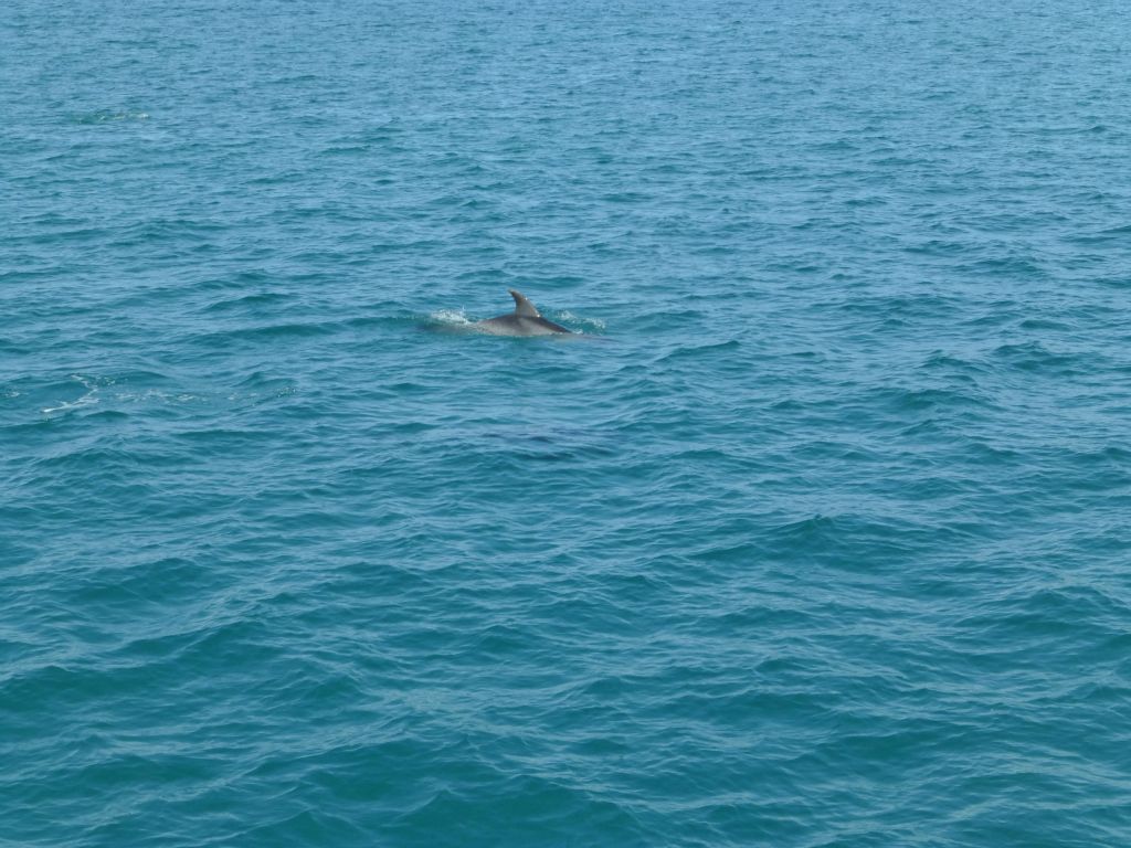 The renowned 'Hole in the Rock' cruise aboard Fullers.  Bay of Islands.