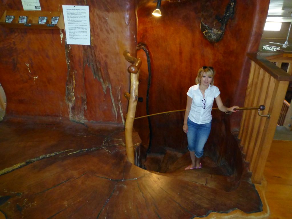 Kauri Kingdom.  Where ancient 45,000+ year old kauri logs recovered from swamp land is crafted into beautiful woodwork.