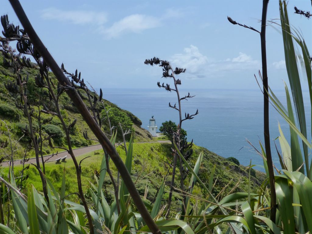 Cape Reinga, generally regarded the northern-most tip of New Zealand.  Great photography Gul!