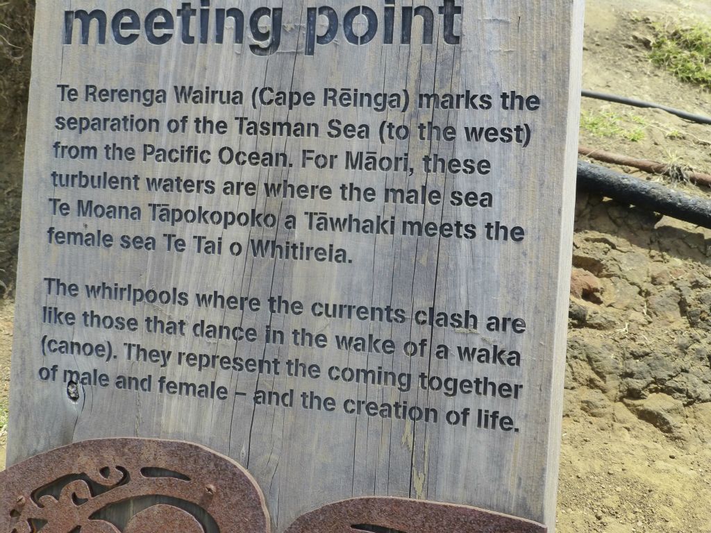 Cape Reinga, generally regarded the northern-most tip of New Zealand.