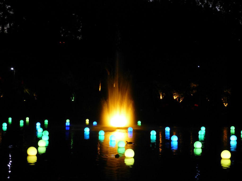 Taranaki Festival of Lights.