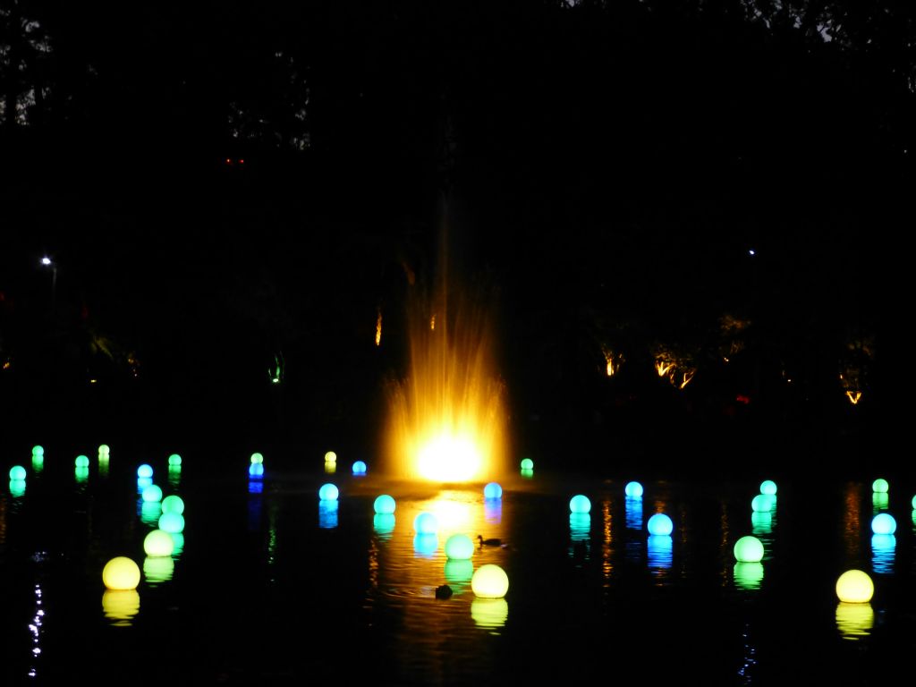 Taranaki Festival of Lights.