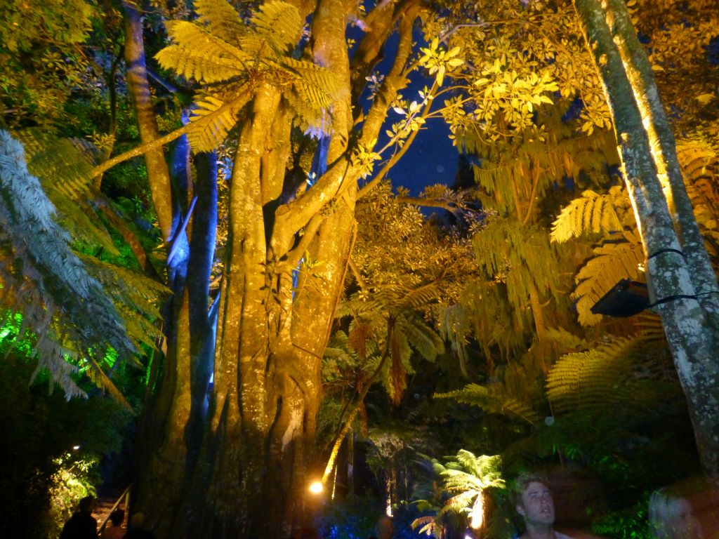 Taranaki Festival of Lights.