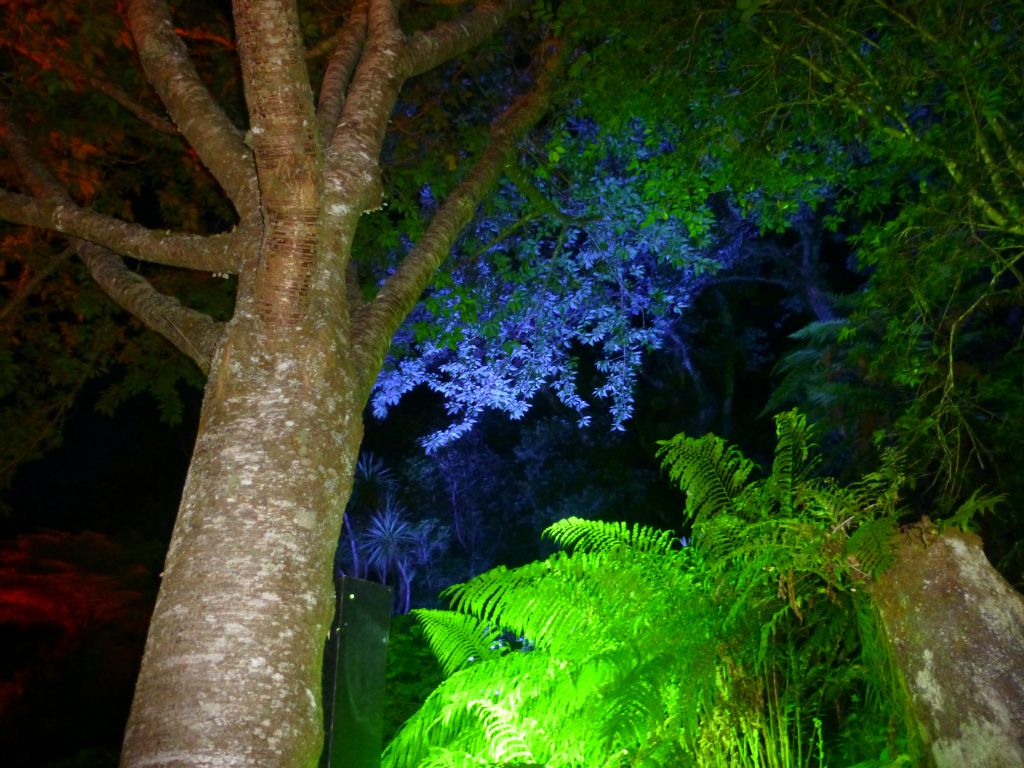 Taranaki Festival of Lights.