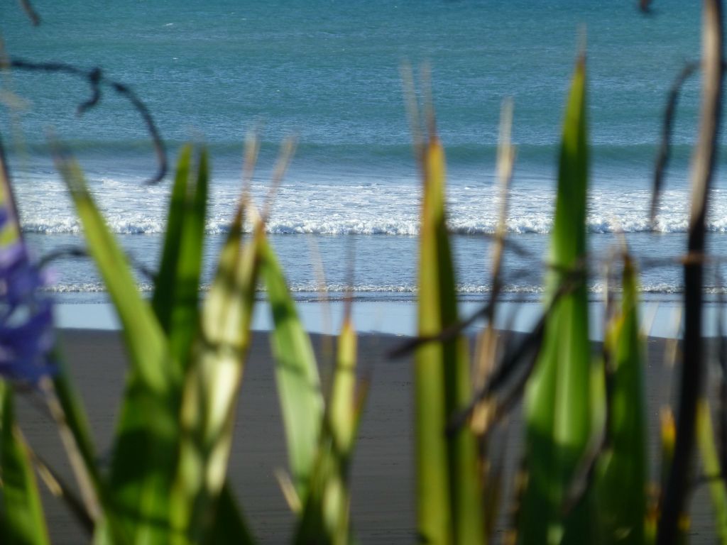 The familiar black (iron) sand of Taranaki beaches.