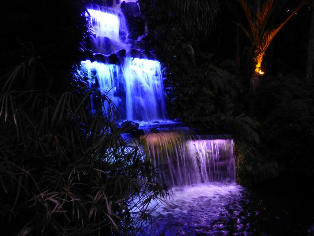 Taranaki Festival of Lights.